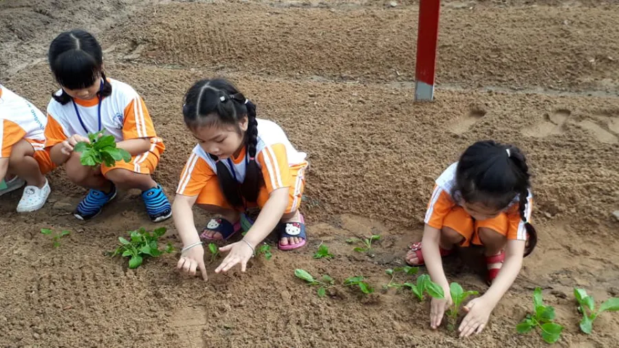 Trường mầm non Sen Hồng