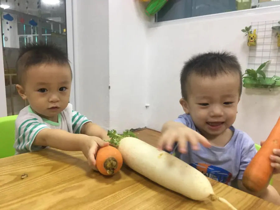 Trường mầm non Bee Garden An Khánh - KĐT Nam An Khánh