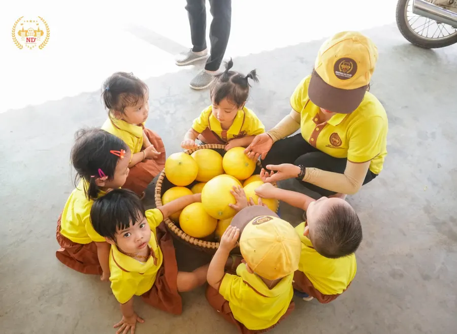 Nguyễn Du Plus - International Preschool Academy
