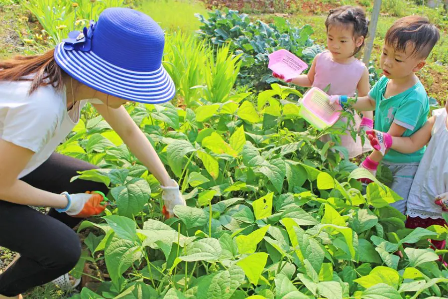 Trường mầm non Candy Garden
