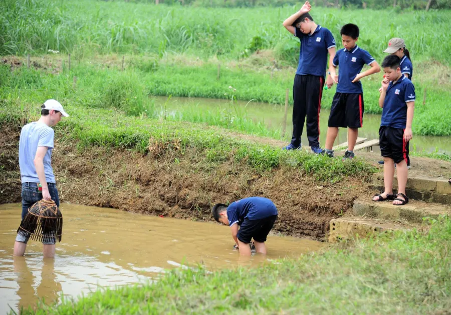 Trường Tiểu học, THCS & THPT Nguyễn Siêu