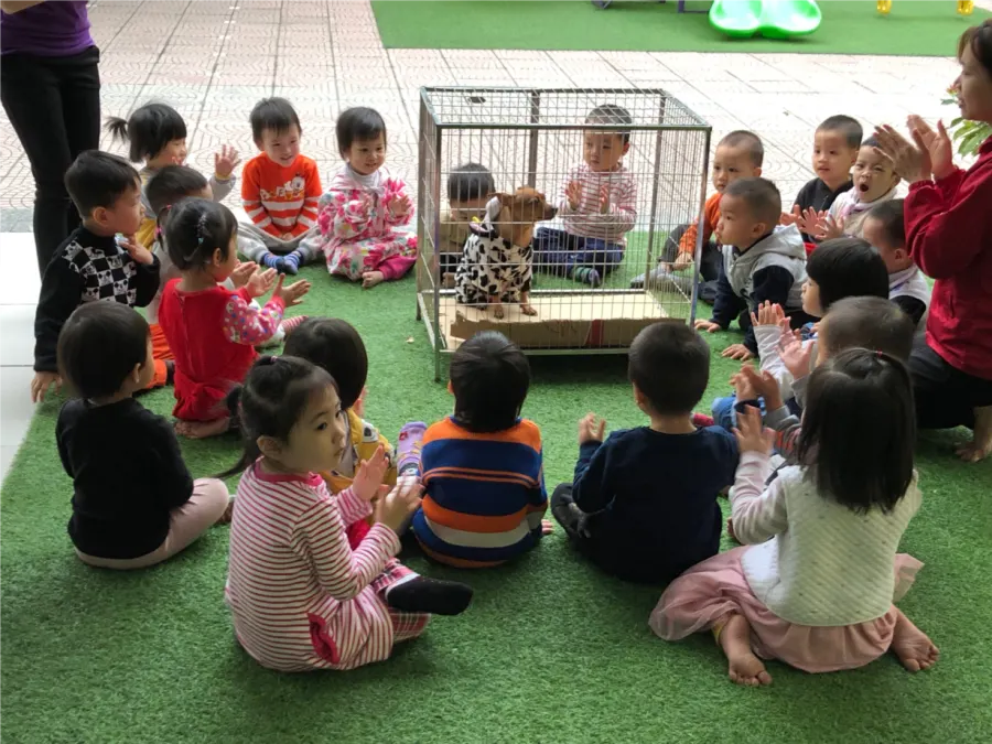 Trường mầm Non Hoa Sữa