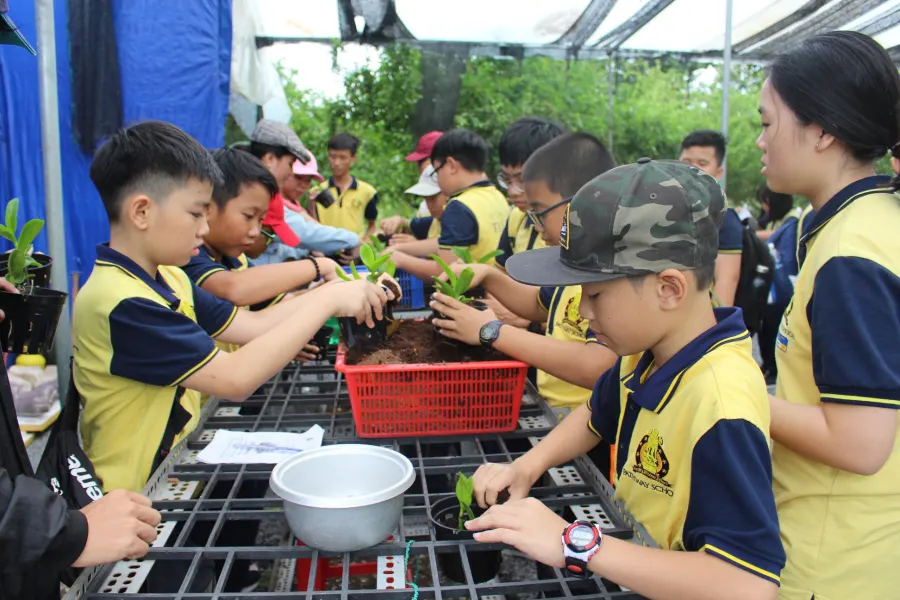 Trường Tiểu học - THCS Tuệ Đức - Bình Khánh