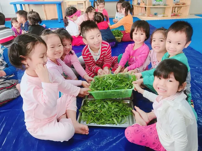 Trường mầm non Gia Quất
