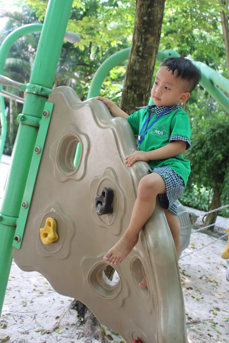 Mầm Non Lá Phong Xanh - Lá Phong Đỏ  (The Maple Leaf Montessori Academy)