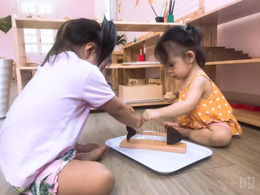 Trường mầm non Song ngữ Montessori Tia Nắng Mai