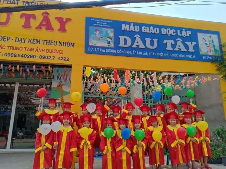 Mầm non Dâu Tây