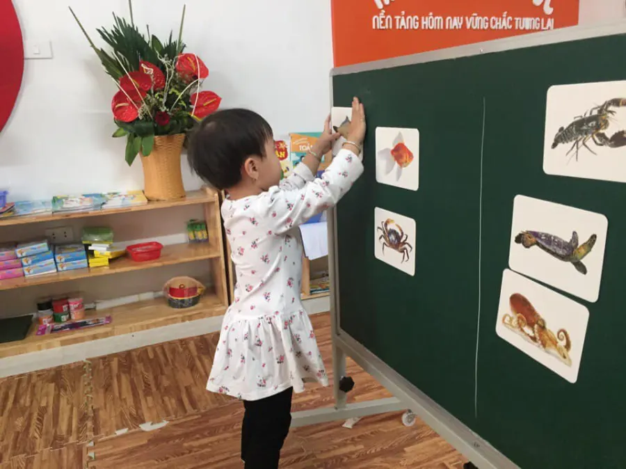 Trường mầm non Gấu Trúc