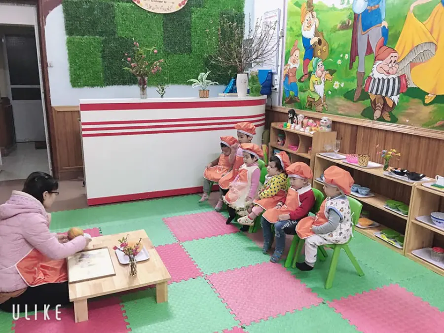 Trường mầm non Hoa Mặt Trời  - Sunflower Kindergarten