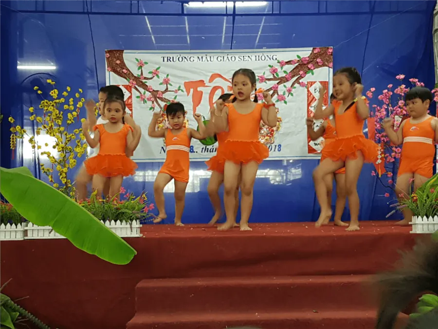 Trường Mẫu Giáo Sen Hồng