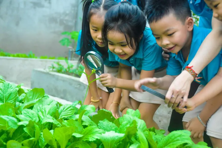 Trường mầm non song ngữ Trẻ Sáng Tạo CS 2