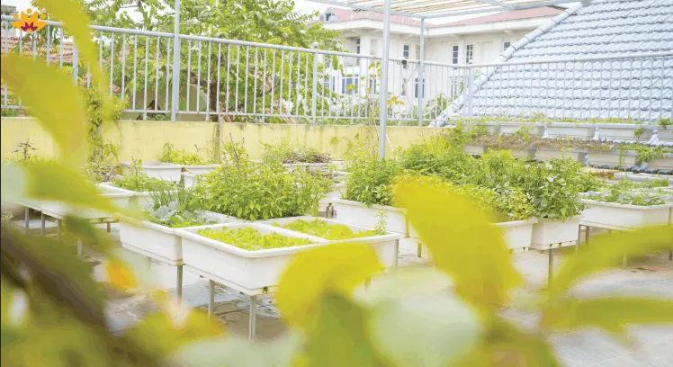 Trường Mầm Non Tia Sáng Lucita - Dịch Vọng, Cầu Giấy