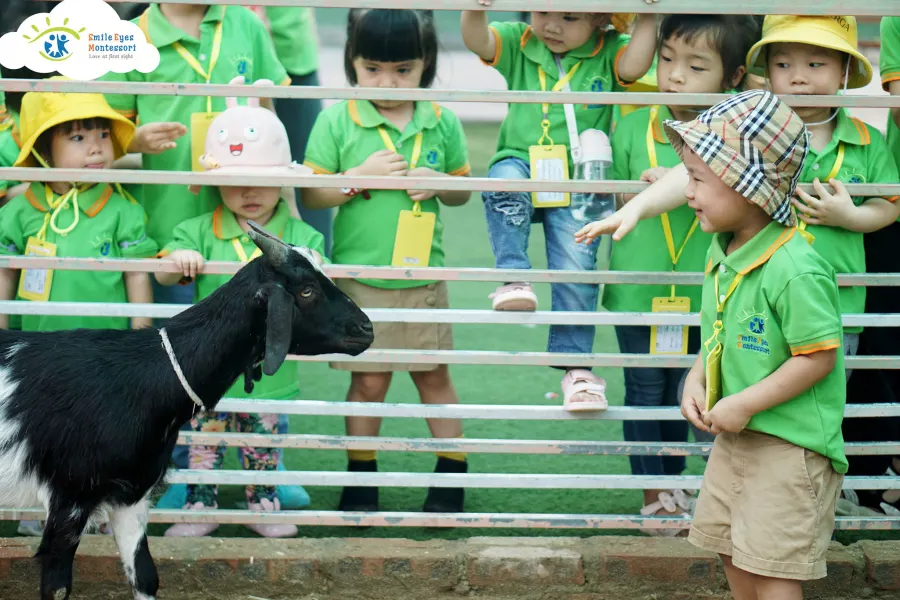 Trường Mầm Non Smile Eyes Montessori