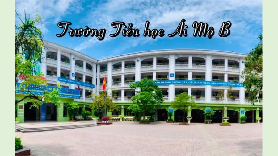 Trường Tiểu học Ái Mộ B