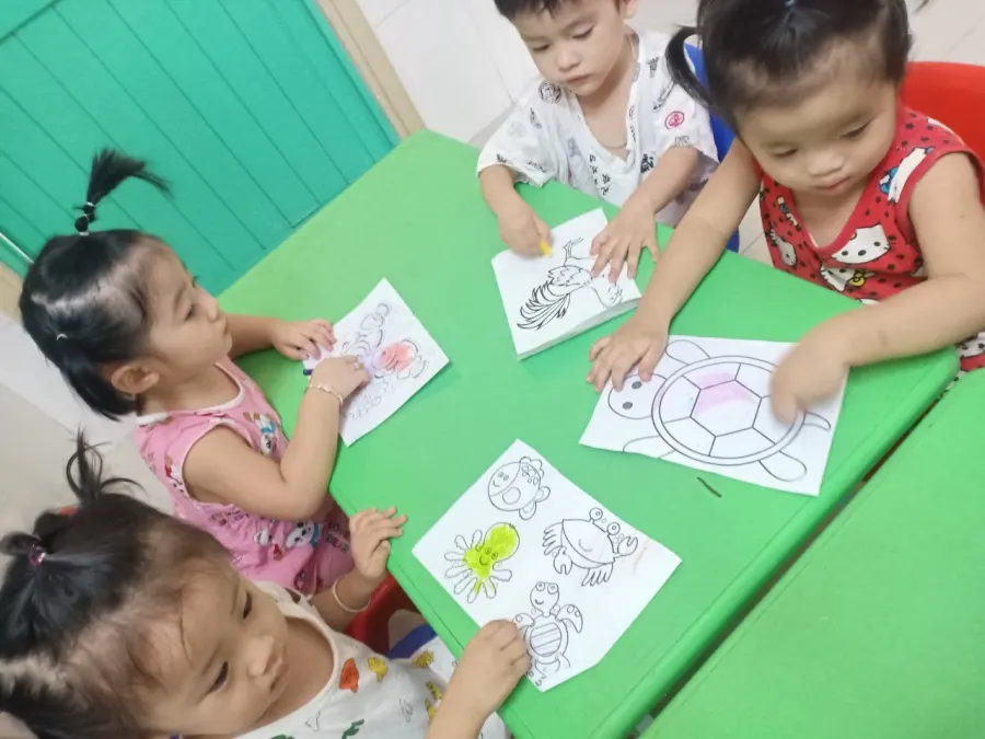Mầm Non Cầu Vồng