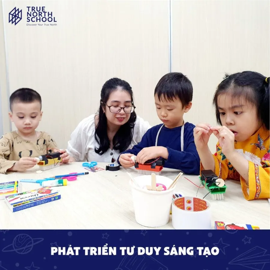 Trường Tiểu học Song ngữ True North School