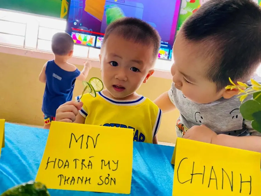 Trường mầm non Hoa Trà My