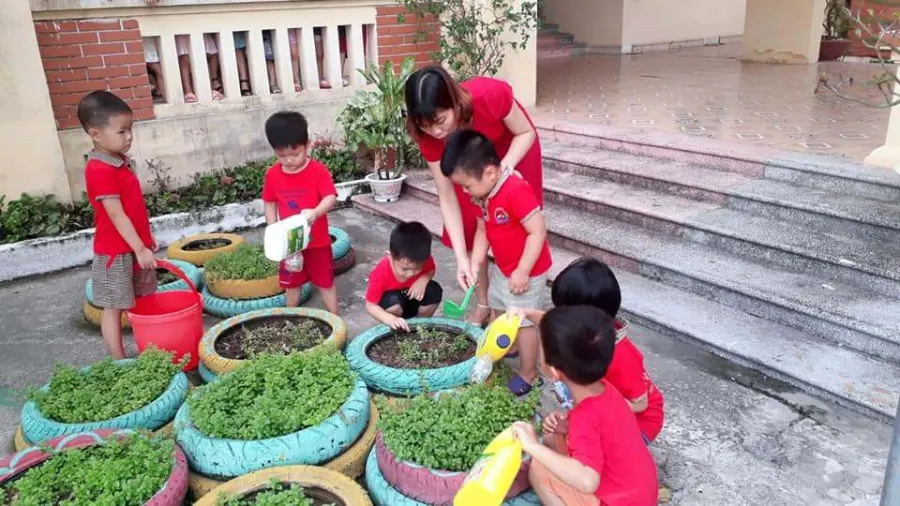 Trường mầm non Đông Hải