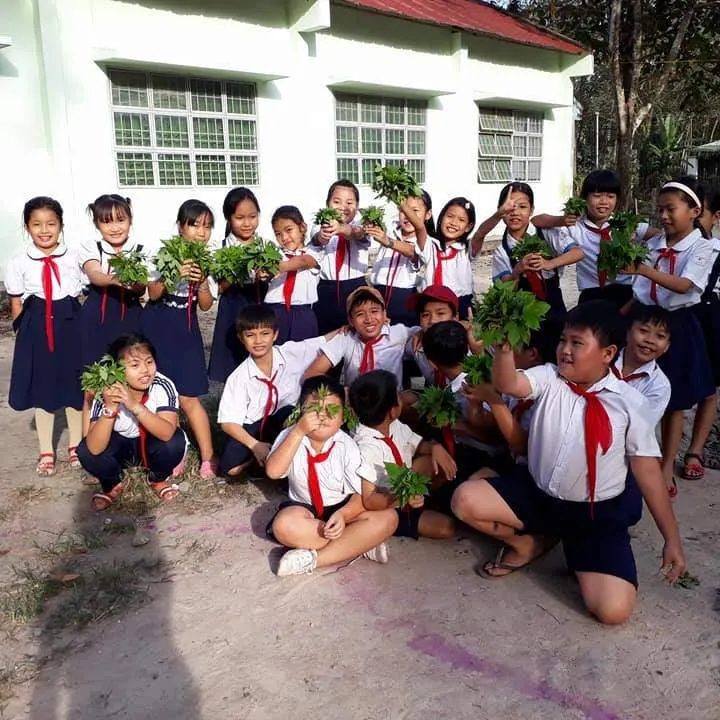 Trường Tiểu Học Lai Hưng B