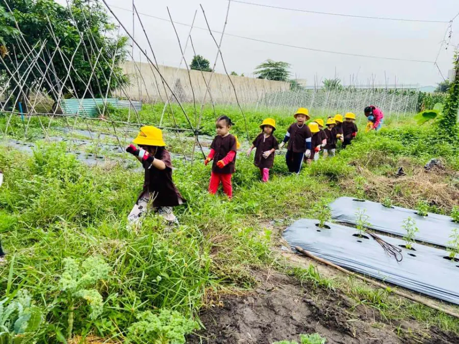 Trường mầm non CreaKids Preschool CS1