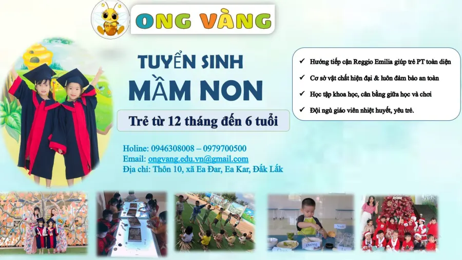 Trường mầm non Ong Vàng