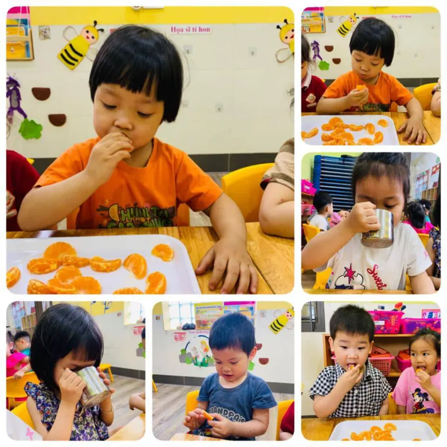 Trường mầm non tư thục Chocopie CS2