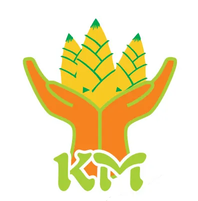 Trường mầm non Kids and Mimi