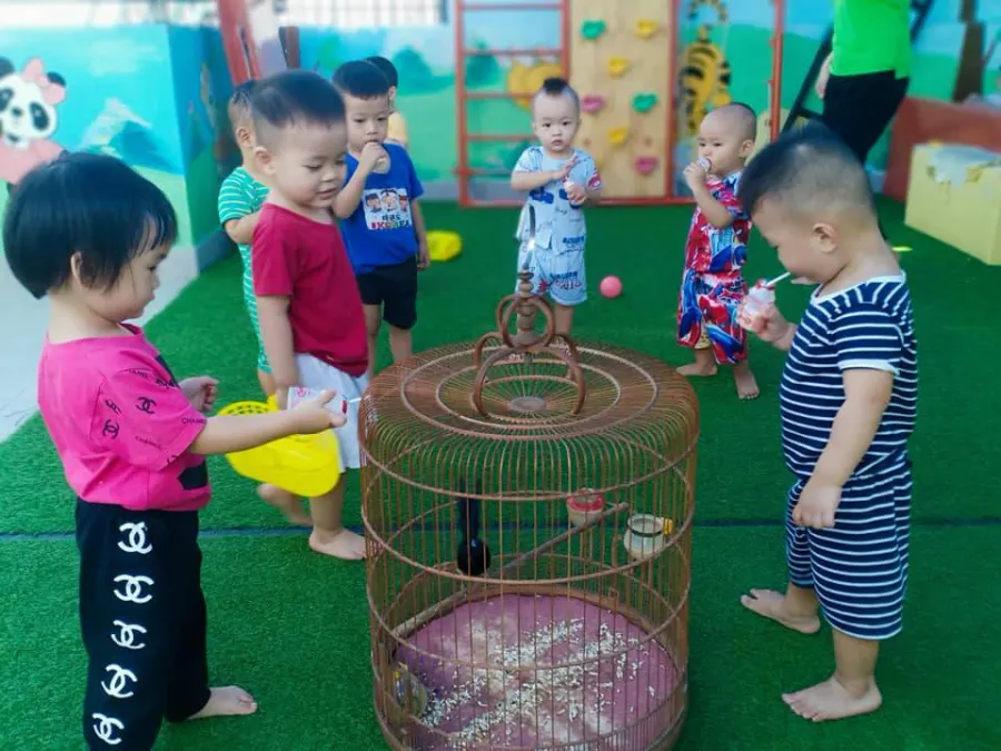 Trường Mầm Non Pandas (Pandas Kindergarten)