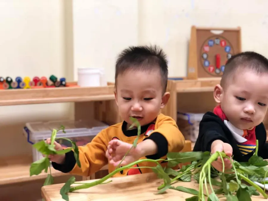 Trường mầm non Sun Academy - Yên Hòa