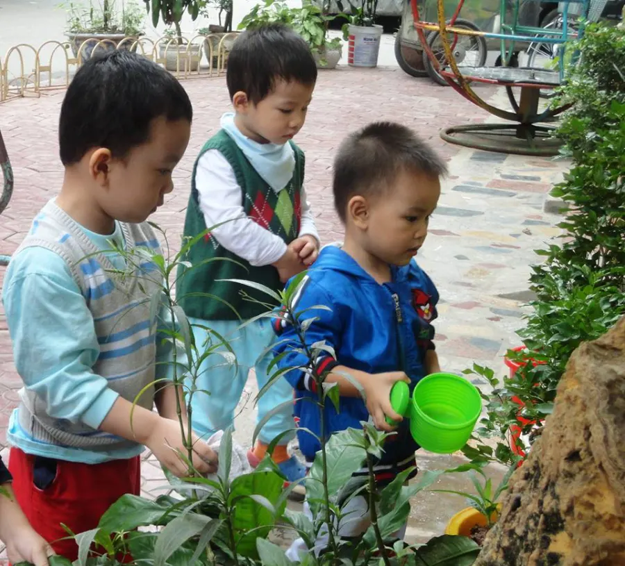 Trường mầm non Bông Mai - Nghĩa Tân