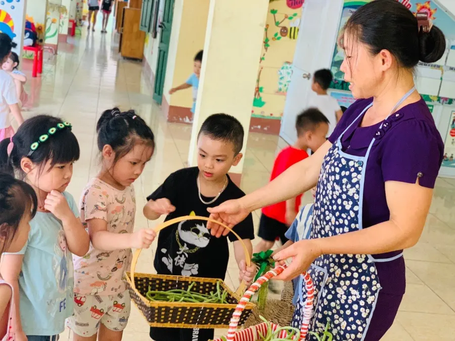 Trường Mầm Non Sao Mai - TX Phú Thọ