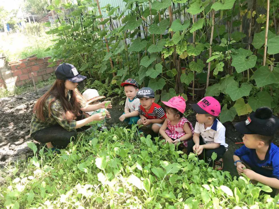 Cơ sở Mầm Non tư thục Họa Mi - TT Phù Mỹ