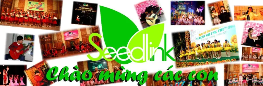 Seedlink & Nghệ sỹ Thùy Dung - Vườn ươm Nghệ thuật