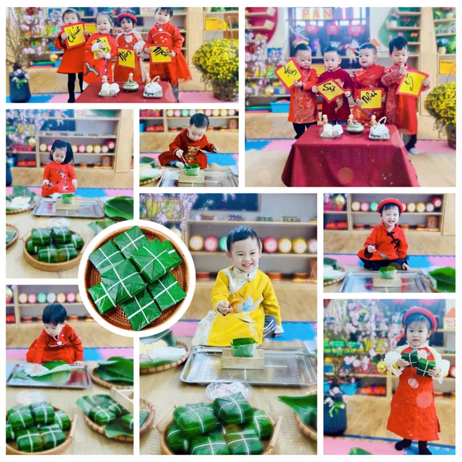 Trường Mầm non Sóc Nâu