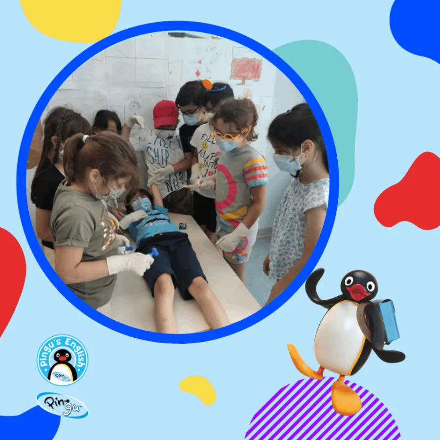 Pingu's English Hải Phòng