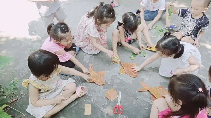 Mầm non Baby House