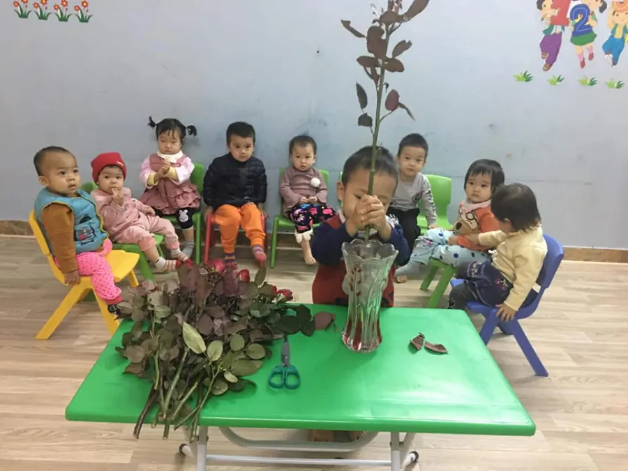 Trường mầm non Hasuko Hoa Sen
