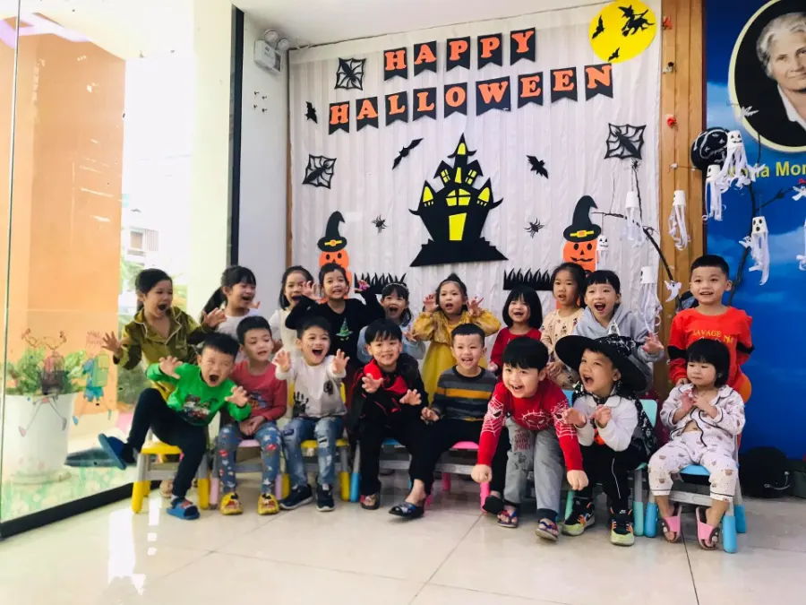Mầm Non Hoa Sen (Hoa Sen Montessori)