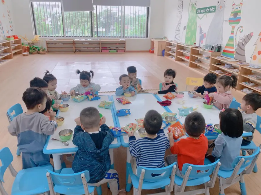 Mầm Non Hoa Sen (Hoa Sen Montessori)