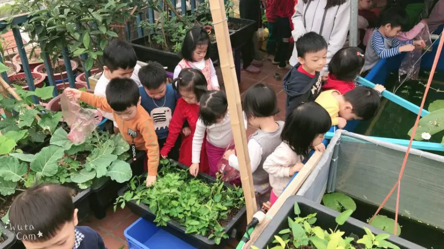 Trường mầm non Nắng Mai Montessori Kindergarten