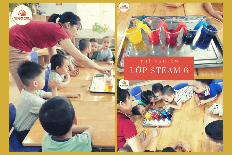 Trường mầm non Steam Kids Linh Đàm