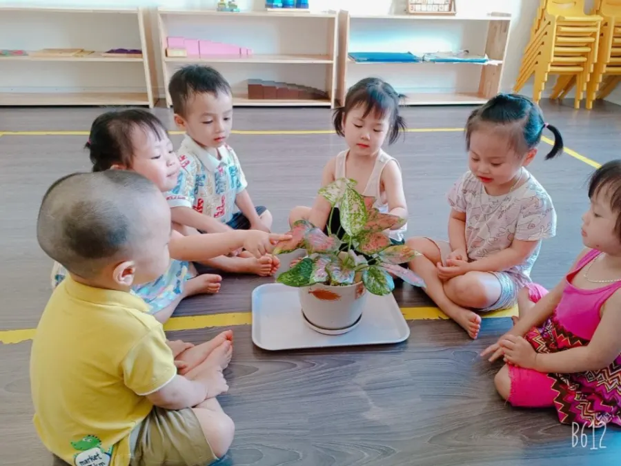 Trường mầm non Bé Tài Năng (Talented Kids School) CS3