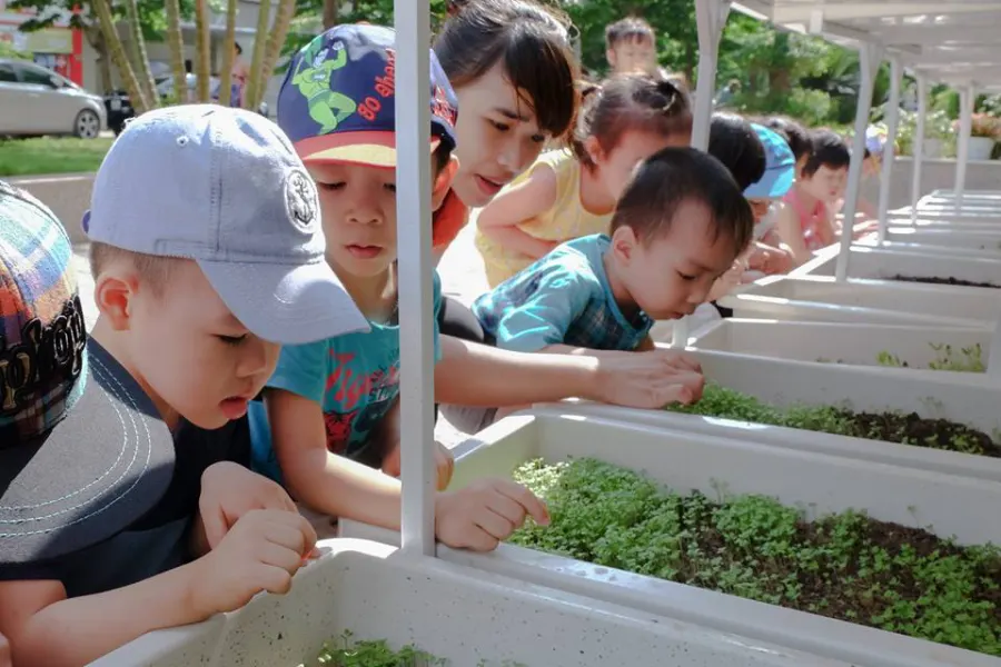 Trường mầm non TD Kids Star