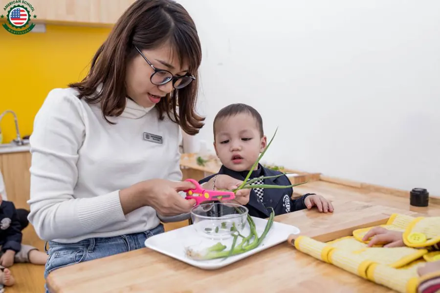 Trường mầm non Việt Mỹ Montessori
