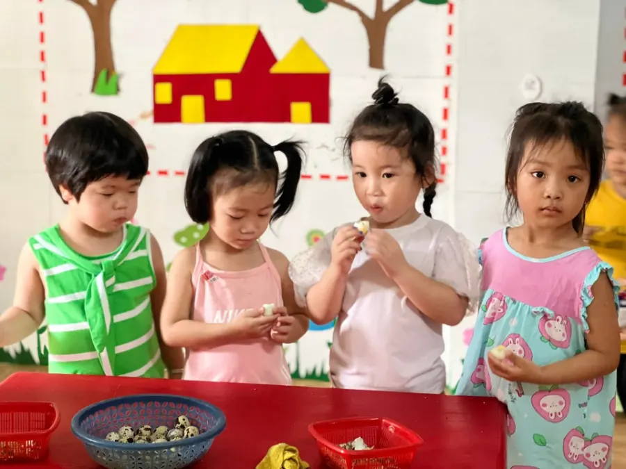 Nhà Trẻ Việt Nhí