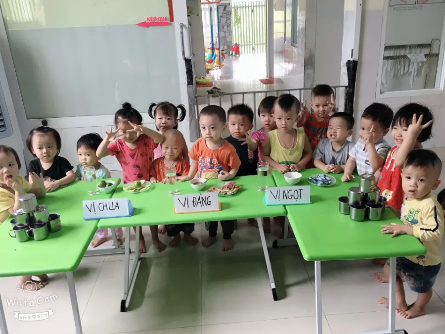 Trường Mầm Non Ngôi Sao - CS1 Đường Tăng Bạt Hổ