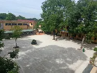 Trường Tiểu Học Tô Hiệu