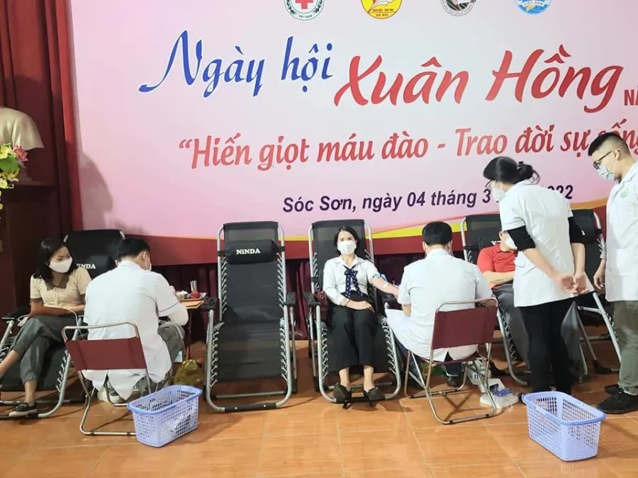Trường Tiểu Học Phù Lỗ B