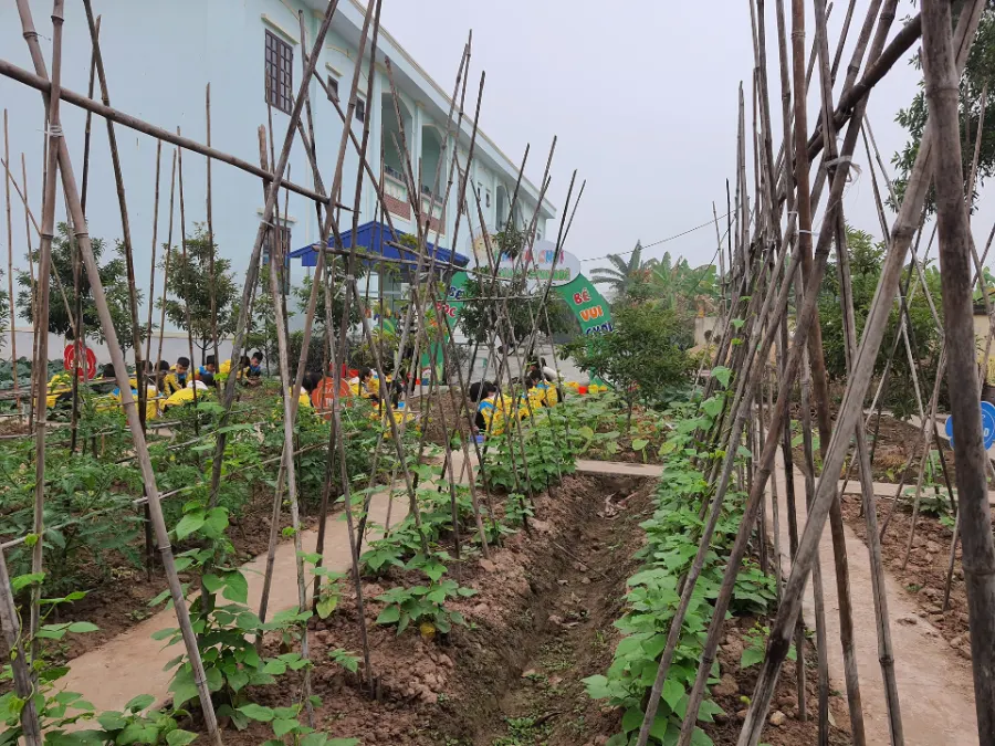 Trường Mầm Non Thái Thịnh