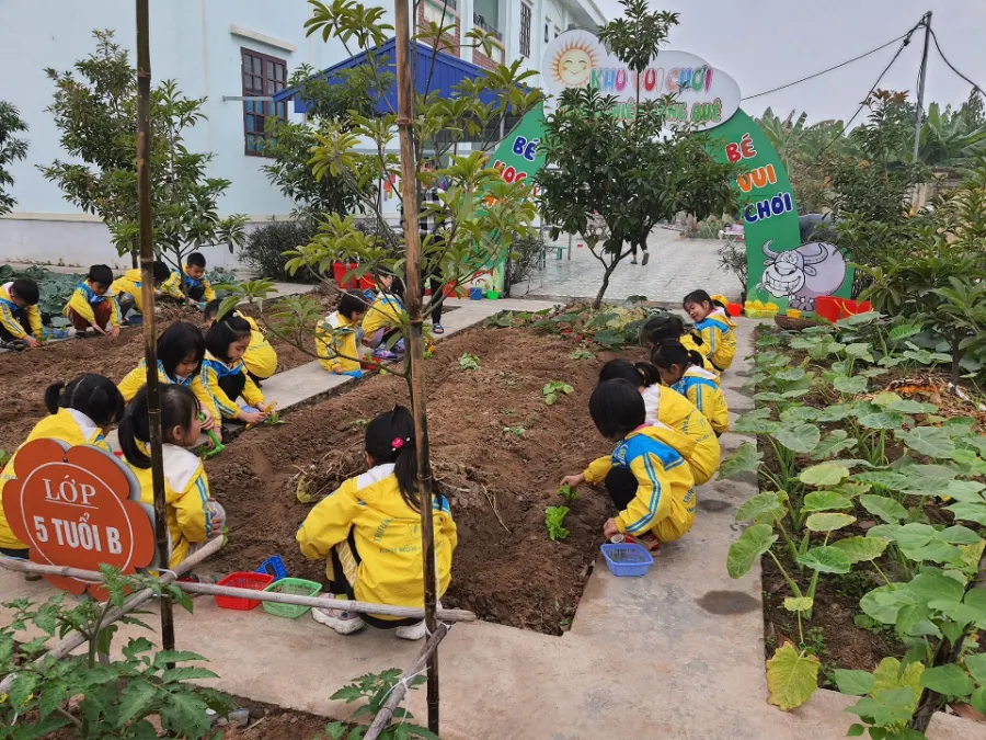 Trường Mầm Non Thái Thịnh